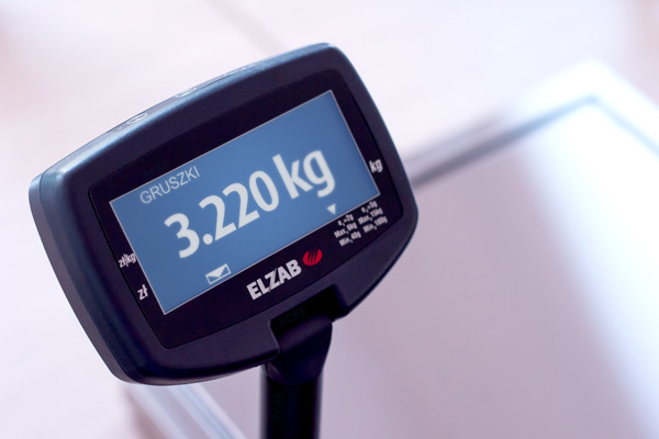 Waga elektroniczna Elzab Vega 2 - Zamów wagę z dodatkowym wyświetlaczem LCD